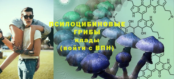 mdpv Покачи