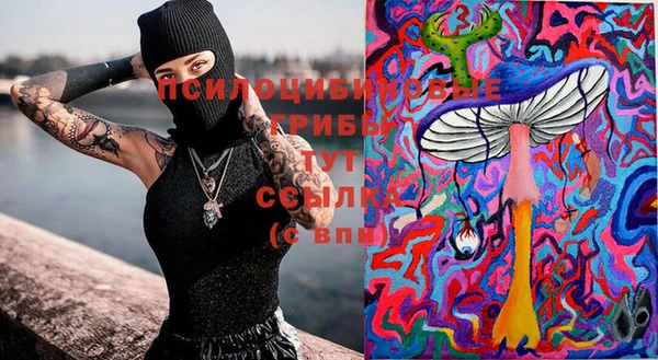 mdpv Покачи