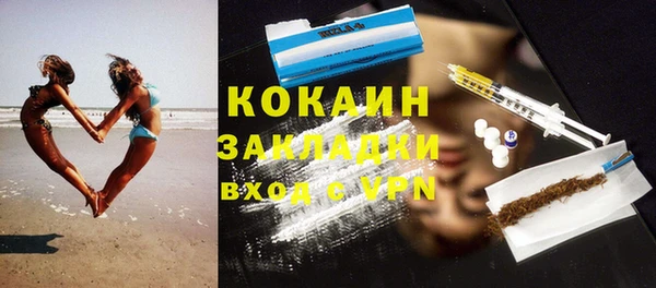 шишки Абаза