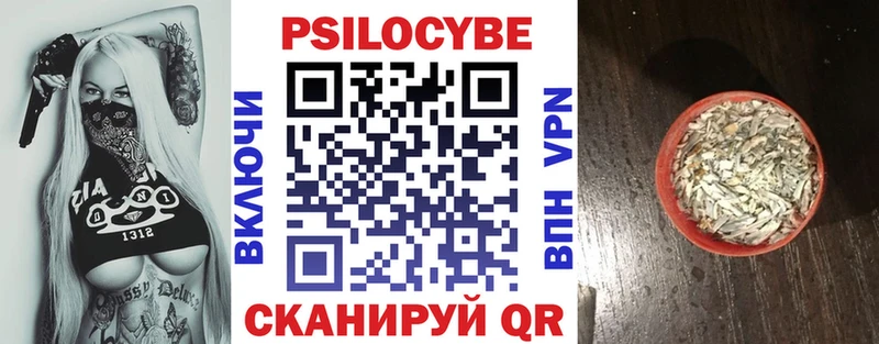 Псилоцибиновые грибы мицелий  Кингисепп 